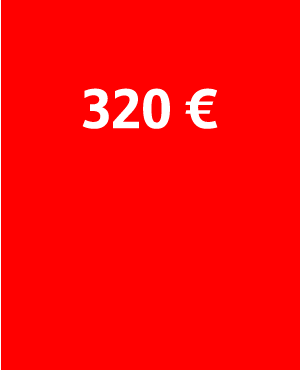 320 € beträgt die monatliche Rate im Durchschnitt